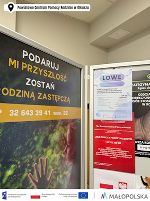 LOWE Obraz 3